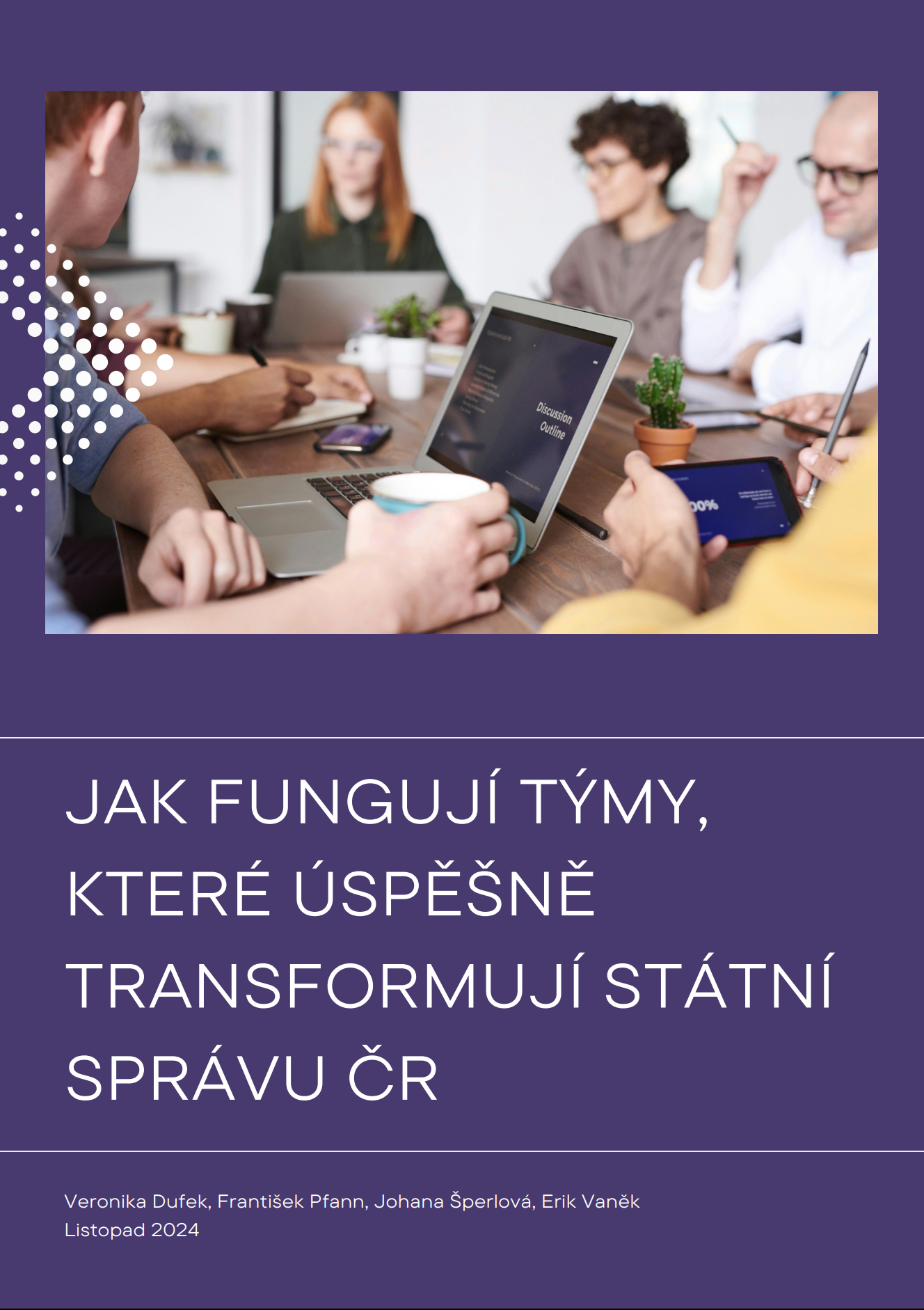 Náhled výzkumné zprávy
